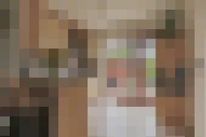 Osseweid 48 Venhuizen thumbnail 19