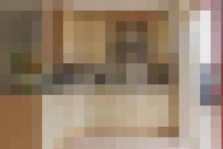 Osseweid 48 Venhuizen thumbnail 20