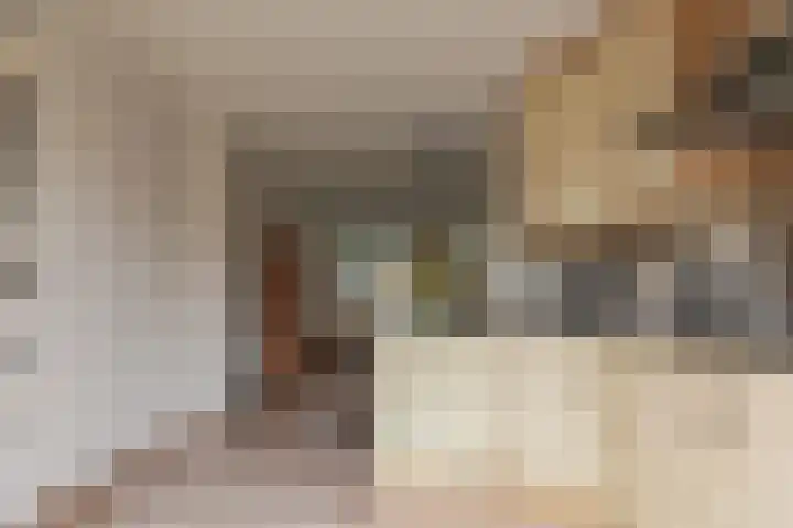 Osseweid 48 Venhuizen thumbnail 21