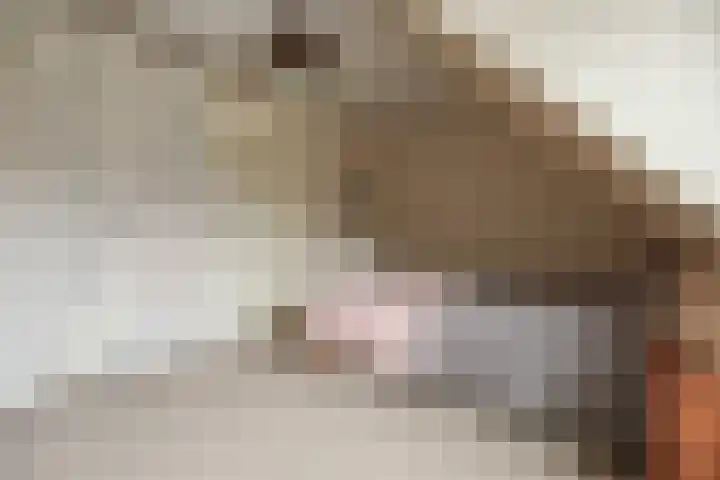 Osseweid 48 Venhuizen thumbnail 26