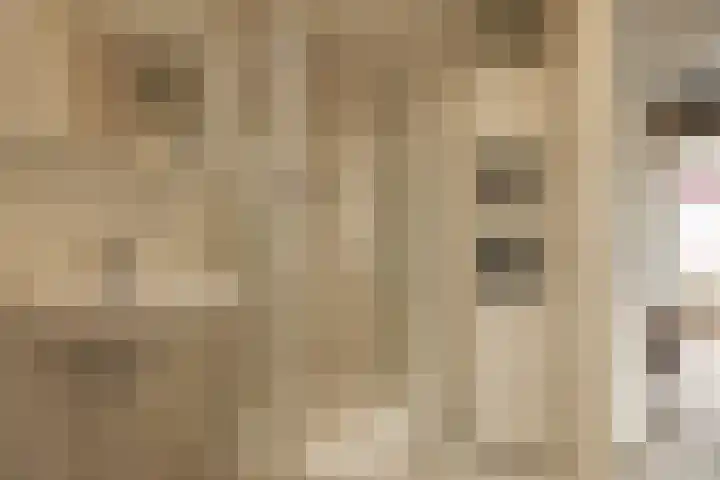 Osseweid 48 Venhuizen thumbnail 30