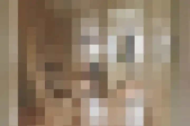 Osseweid 48 Venhuizen thumbnail 32