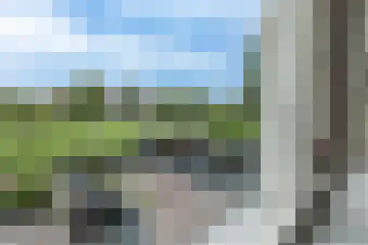 Osseweid 48 Venhuizen thumbnail 34