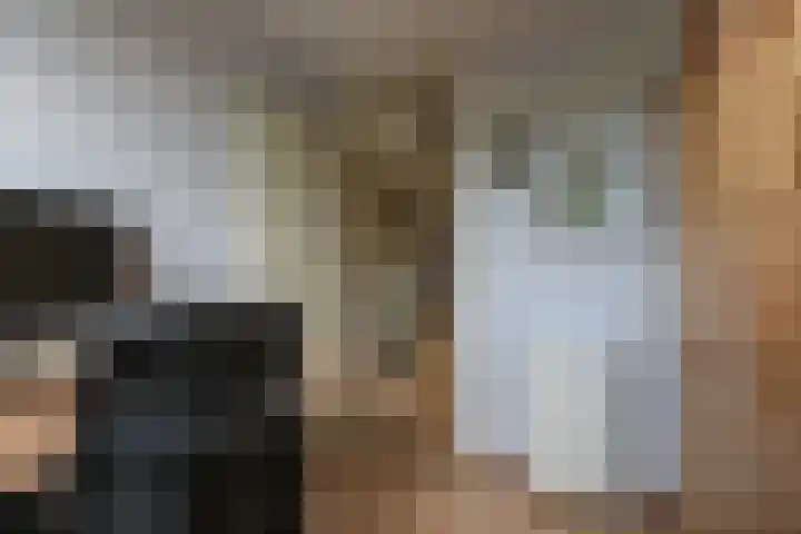 Osseweid 48 Venhuizen thumbnail 37
