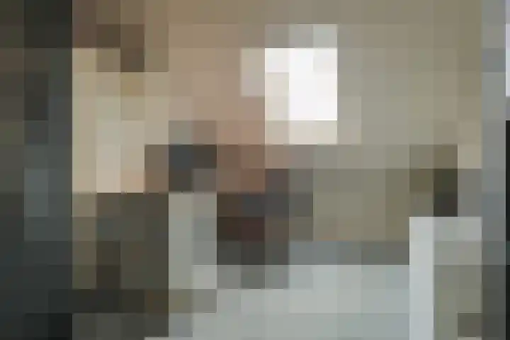 Osseweid 48 Venhuizen thumbnail 39