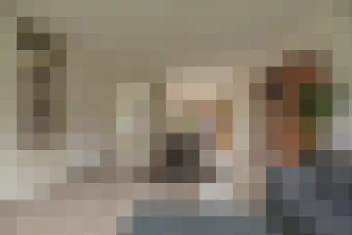 Osseweid 48 Venhuizen thumbnail 4
