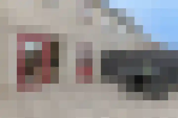 Osseweid 48 Venhuizen thumbnail 43