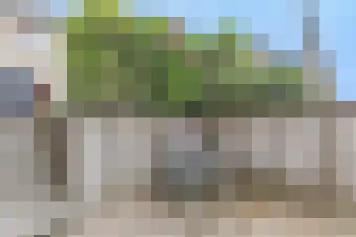 Osseweid 48 Venhuizen thumbnail 44