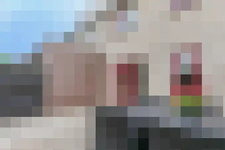 Osseweid 48 Venhuizen thumbnail 45