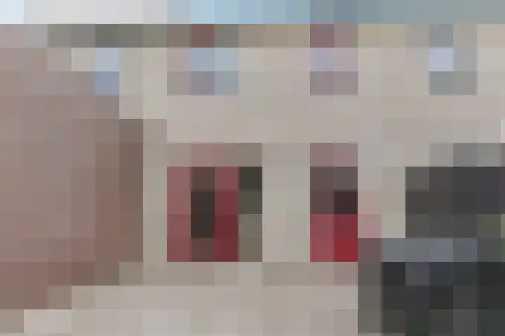 Osseweid 48 Venhuizen thumbnail 46