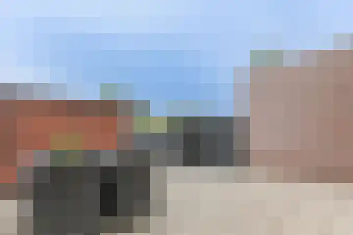 Osseweid 48 Venhuizen thumbnail 47