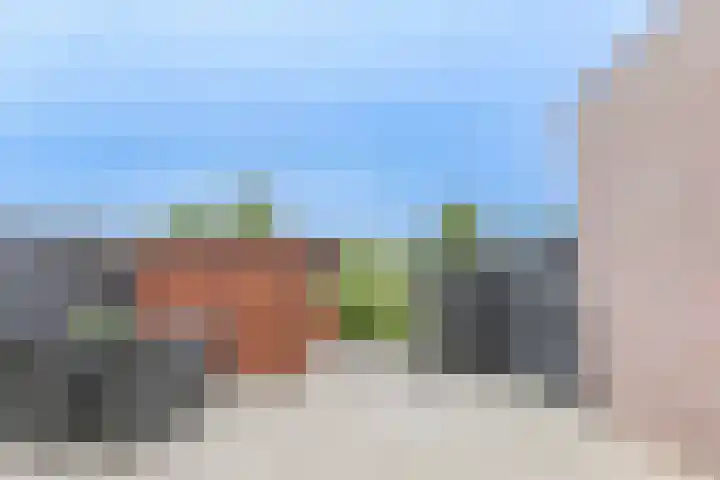 Osseweid 48 Venhuizen thumbnail 48