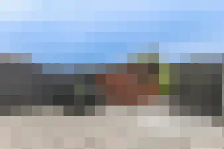 Osseweid 48 Venhuizen thumbnail 49