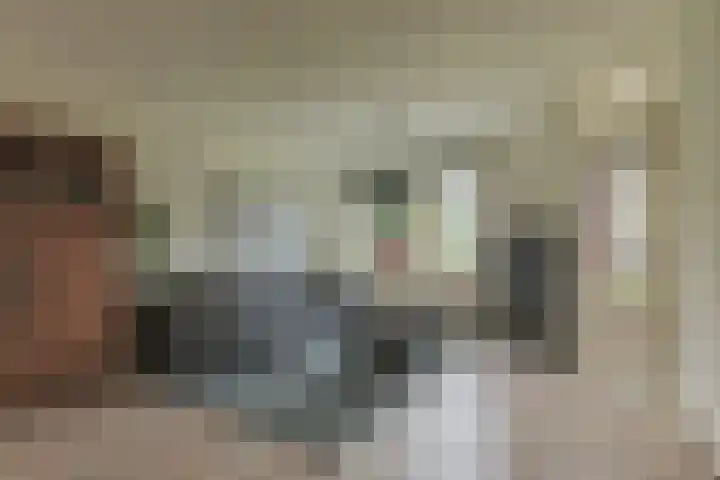 Osseweid 48 Venhuizen thumbnail 5