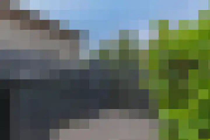 Osseweid 48 Venhuizen thumbnail 52
