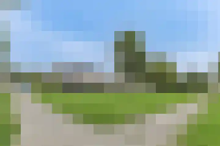 Osseweid 48 Venhuizen thumbnail 54