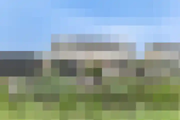 Osseweid 48 Venhuizen thumbnail 55