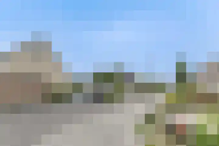 Osseweid 48 Venhuizen thumbnail 56
