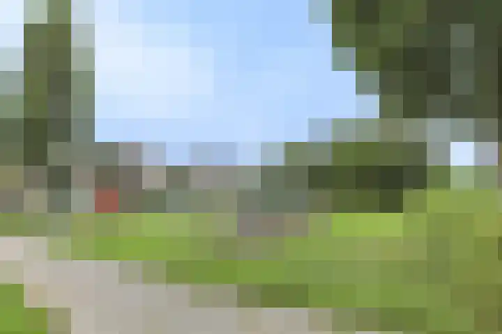 Osseweid 48 Venhuizen thumbnail 57