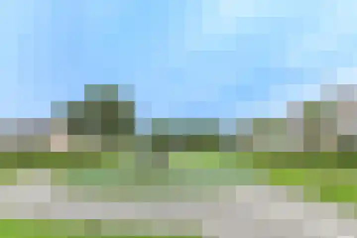 Osseweid 48 Venhuizen thumbnail 58