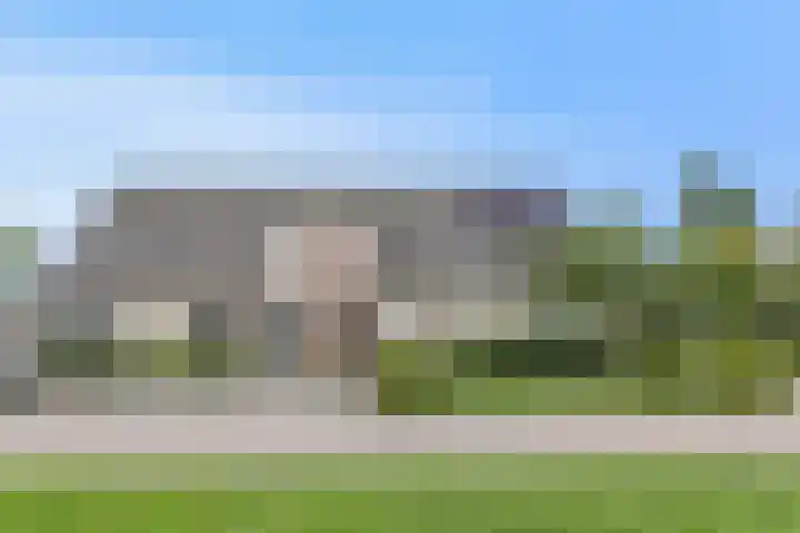 Osseweid 48 Venhuizen thumbnail 60