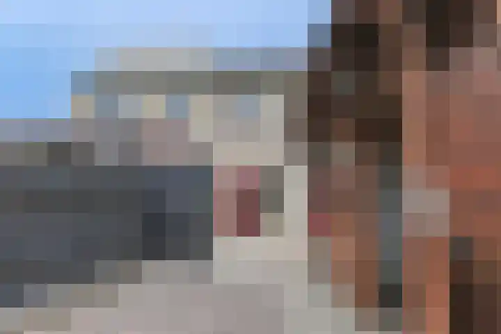 Osseweid 48 Venhuizen thumbnail 7