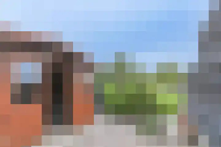 Osseweid 48 Venhuizen thumbnail 8