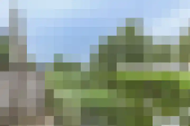 Osseweid 48 Venhuizen thumbnail 9