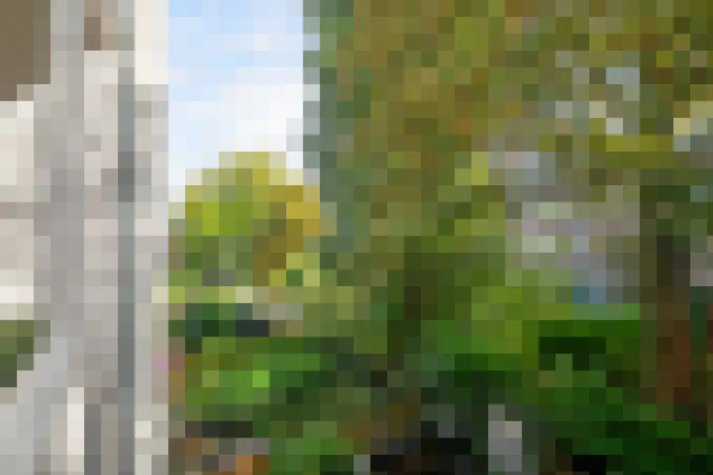 Osseweistraat 36 A Rotterdam thumbnail 11