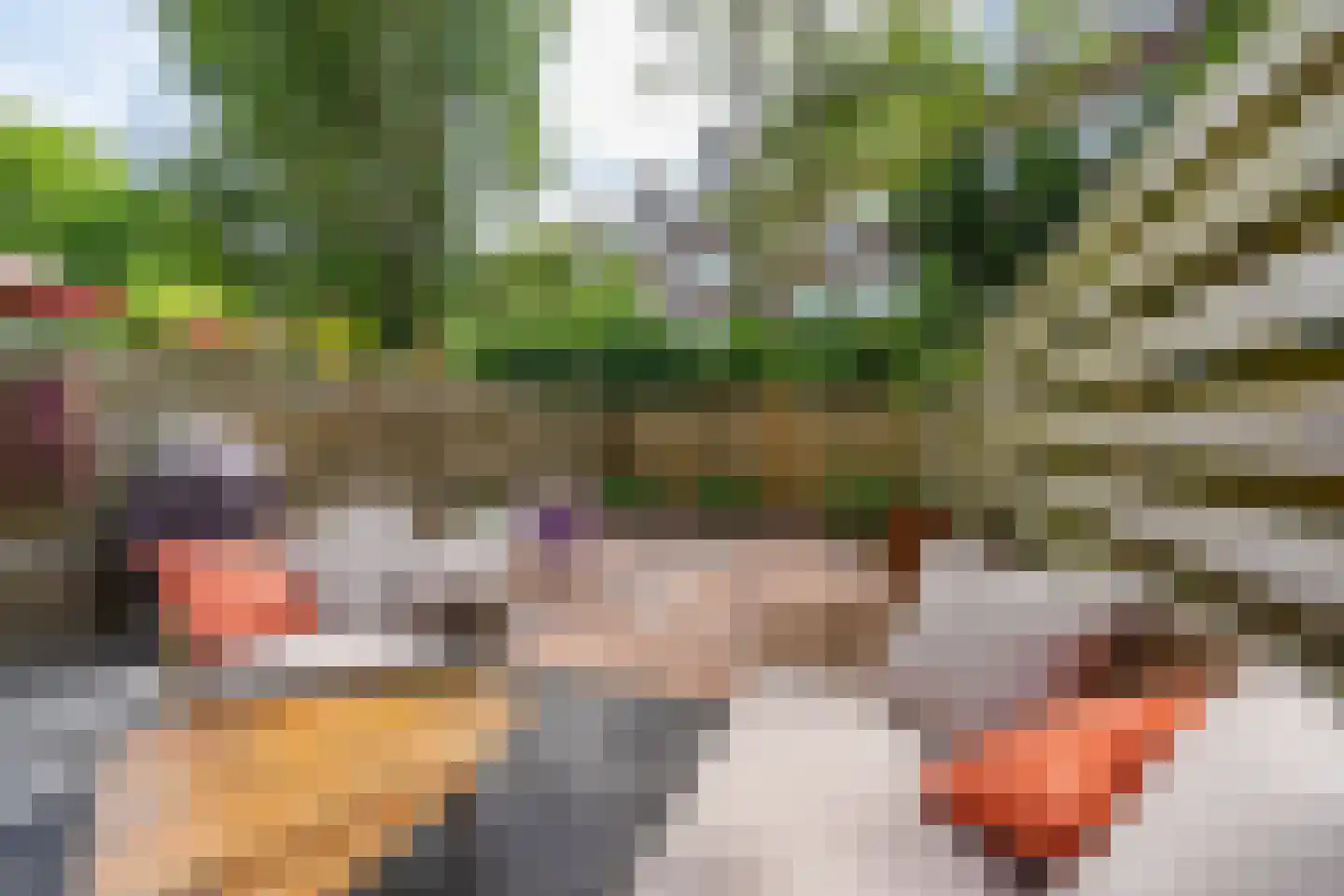 Osseweistraat 36 A Rotterdam thumbnail 17