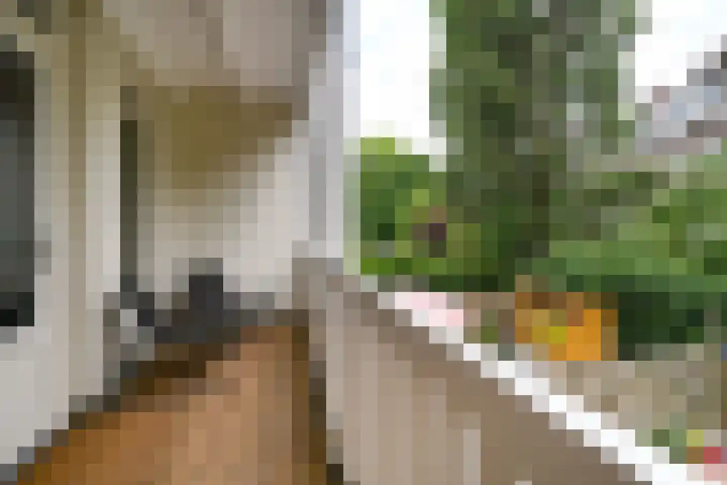 Osseweistraat 36 B Rotterdam thumbnail 26