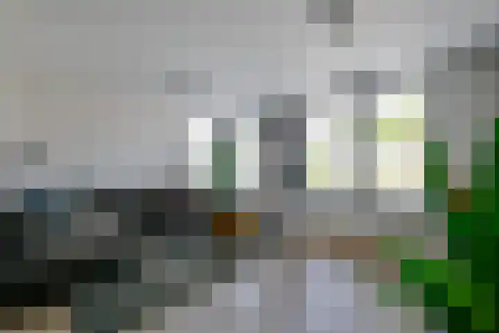 Osseweydt 12 Medemblik thumbnail 11
