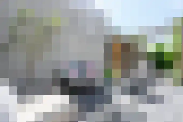 Osseweydt 12 Medemblik thumbnail 20