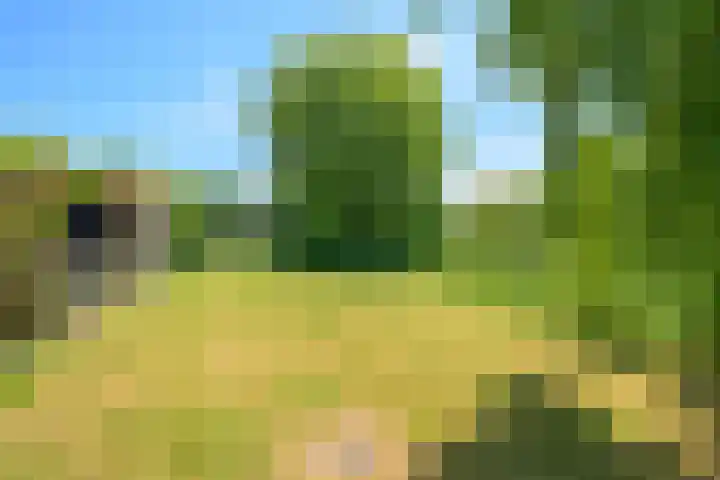 Osseweydt 12 Medemblik thumbnail 25