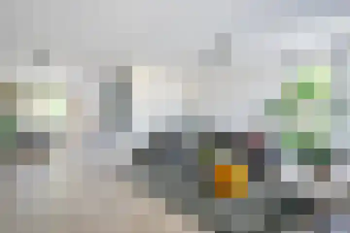 Osseweydt 12 Medemblik thumbnail 5