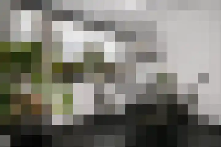 Ossip Zadkinestraat 19 Rotterdam thumbnail 15