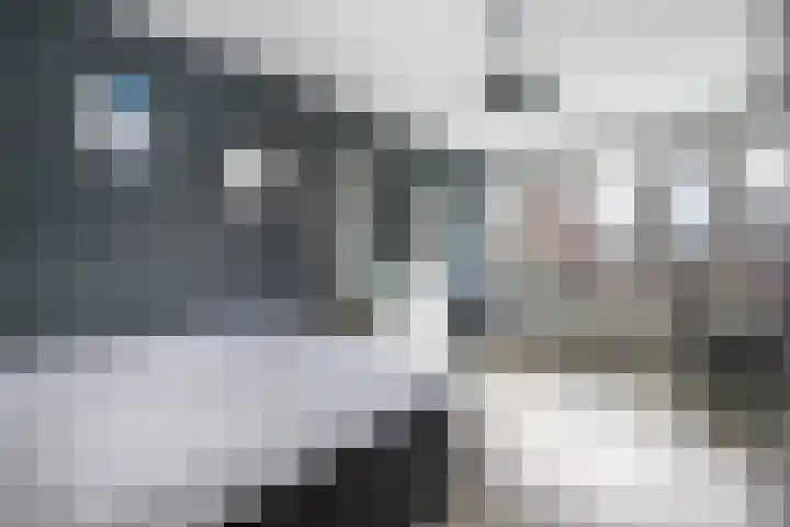 Ossip Zadkinestraat 19 Rotterdam thumbnail 21