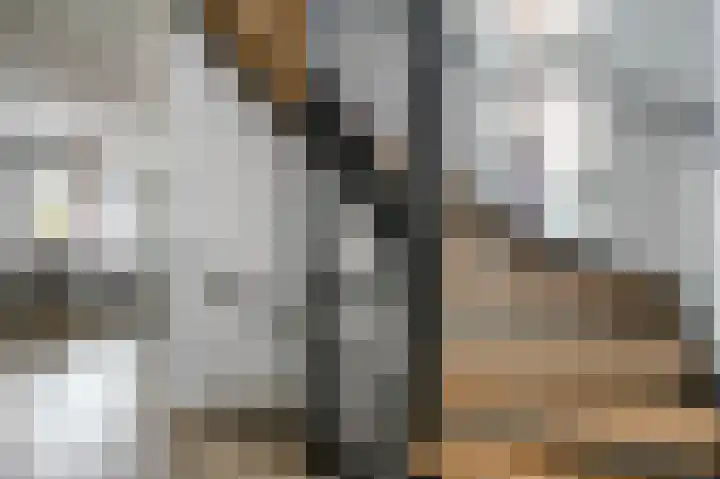 Ossip Zadkinestraat 19 Rotterdam thumbnail 29