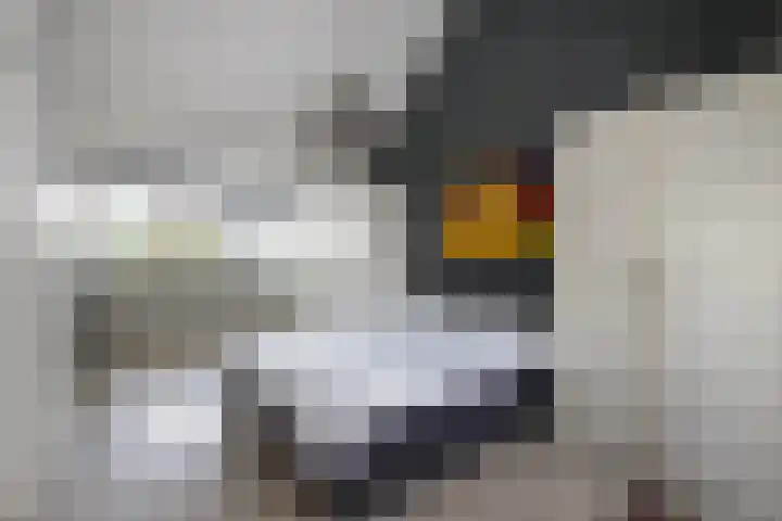Ossip Zadkinestraat 19 Rotterdam thumbnail 31