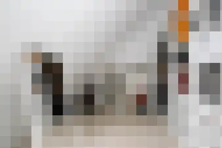 Ossip Zadkinestraat 19 Rotterdam thumbnail 32