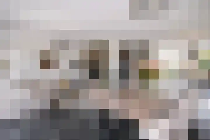 Ossip Zadkinestraat 19 Rotterdam thumbnail 4