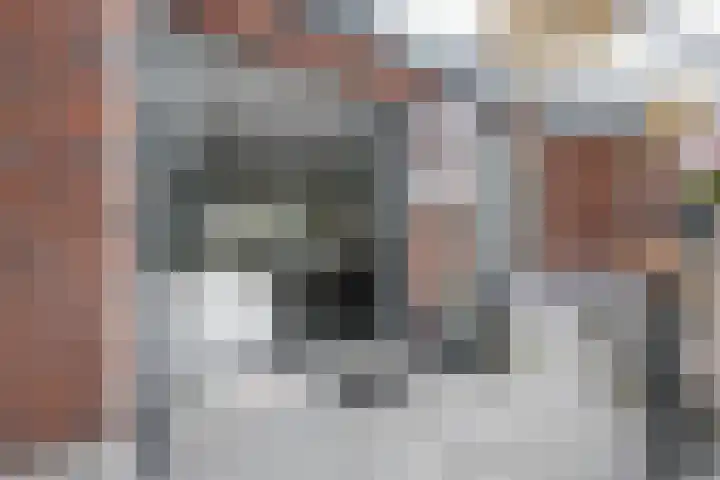 Ossip Zadkinestraat 19 Rotterdam thumbnail 41