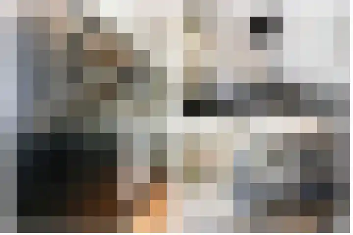 Ossip Zadkinestraat 8 Rotterdam thumbnail 18