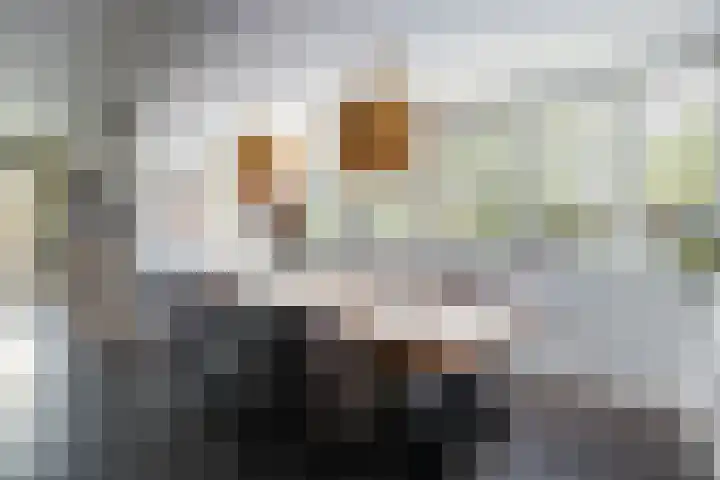 Ossip Zadkinestraat 8 Rotterdam thumbnail 19