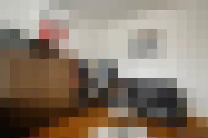 Ossip Zadkinestraat 8 Rotterdam thumbnail 22