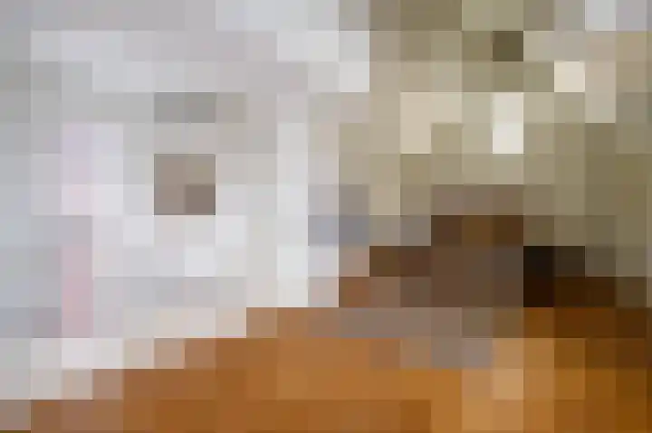 Ossip Zadkinestraat 8 Rotterdam thumbnail 31
