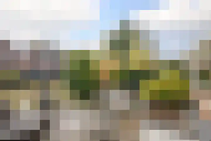 Ossip Zadkinestraat 8 Rotterdam thumbnail 37
