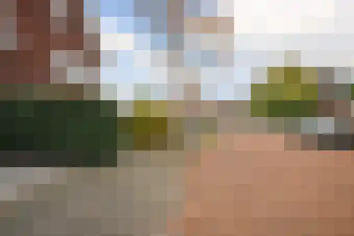 Ossip Zadkinestraat 8 Rotterdam thumbnail 53