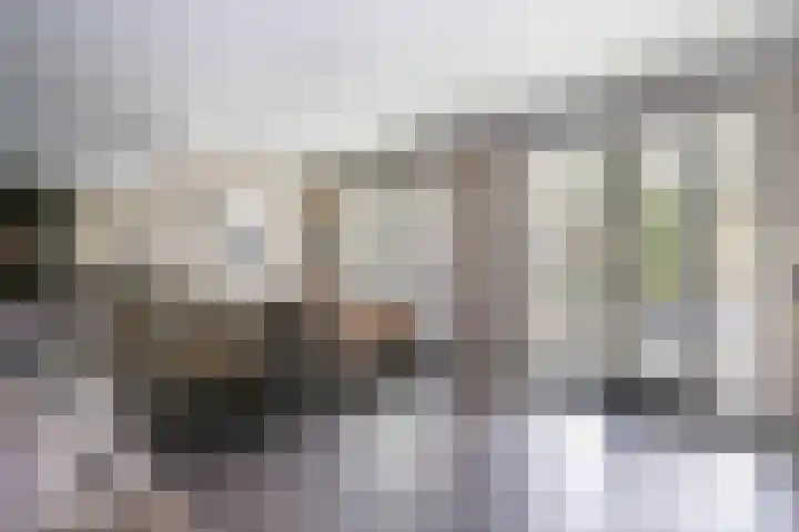 Ossip Zadkinestraat 8 Rotterdam thumbnail 8