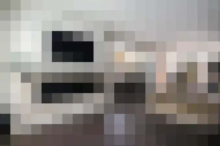 Ossip Zadkinestraat 8 Rotterdam thumbnail 9